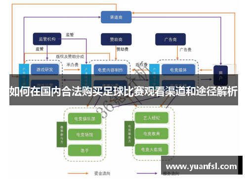 如何在国内合法购买足球比赛观看渠道和途径解析